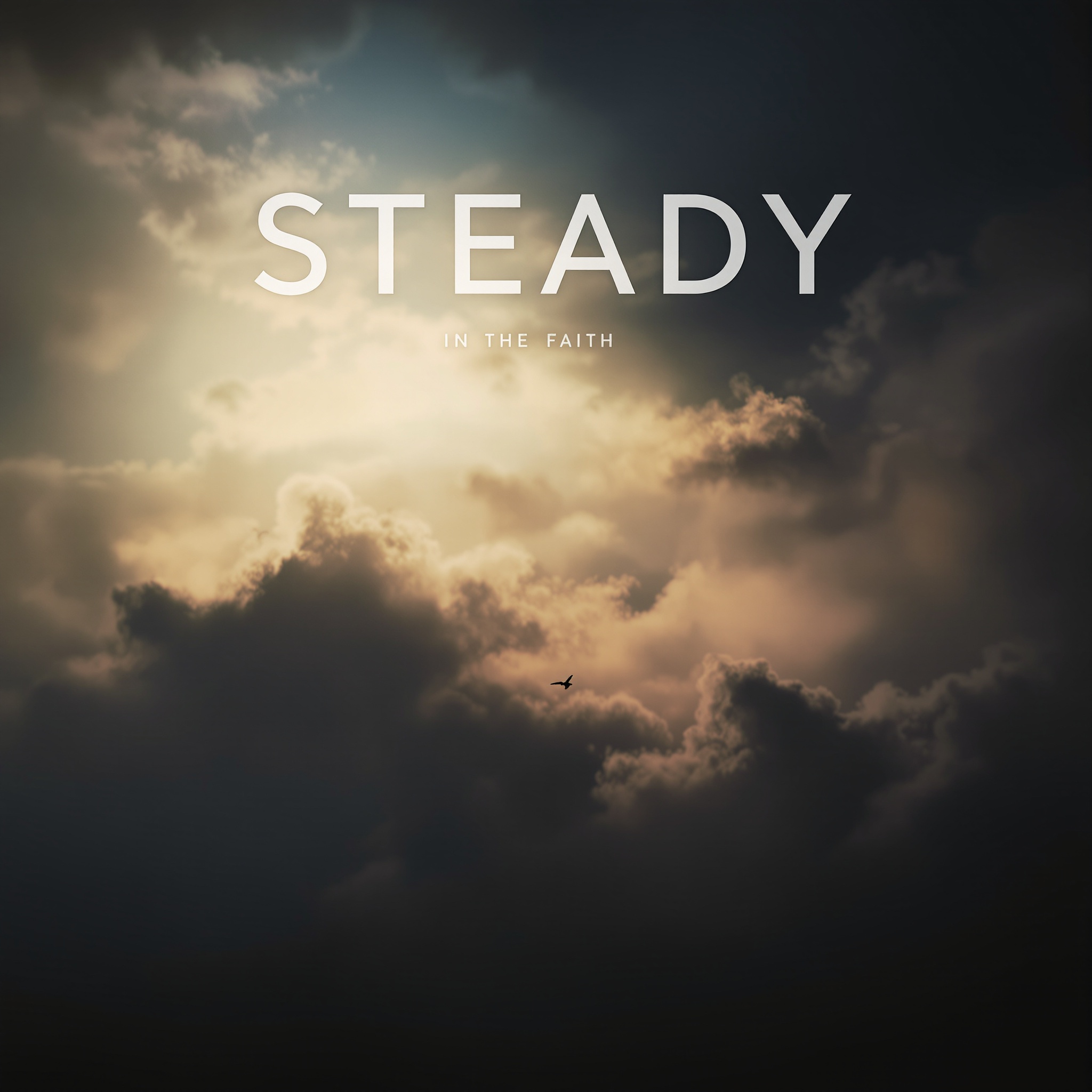 Steady in the Faith cover art