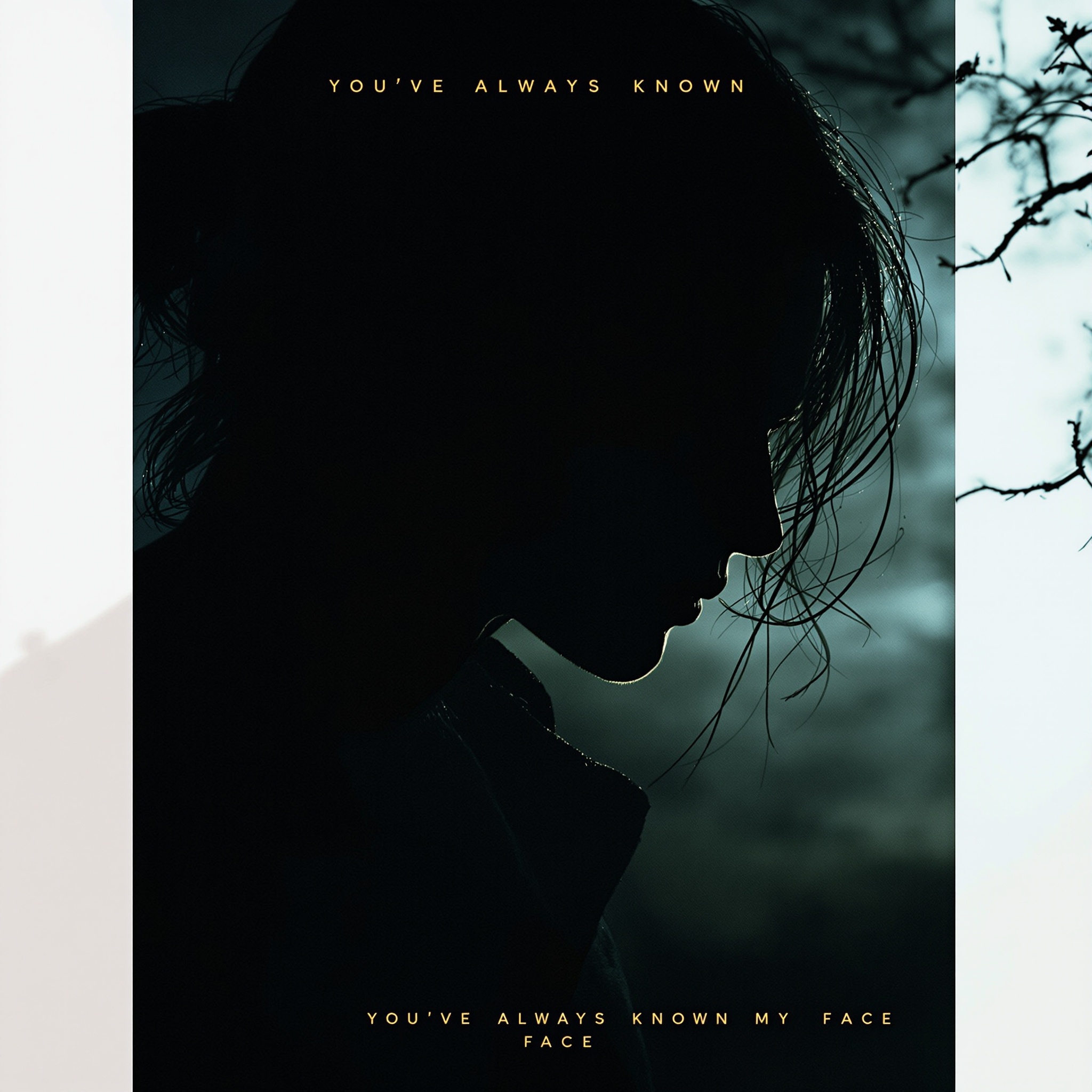 You've Always Known My Face cover art