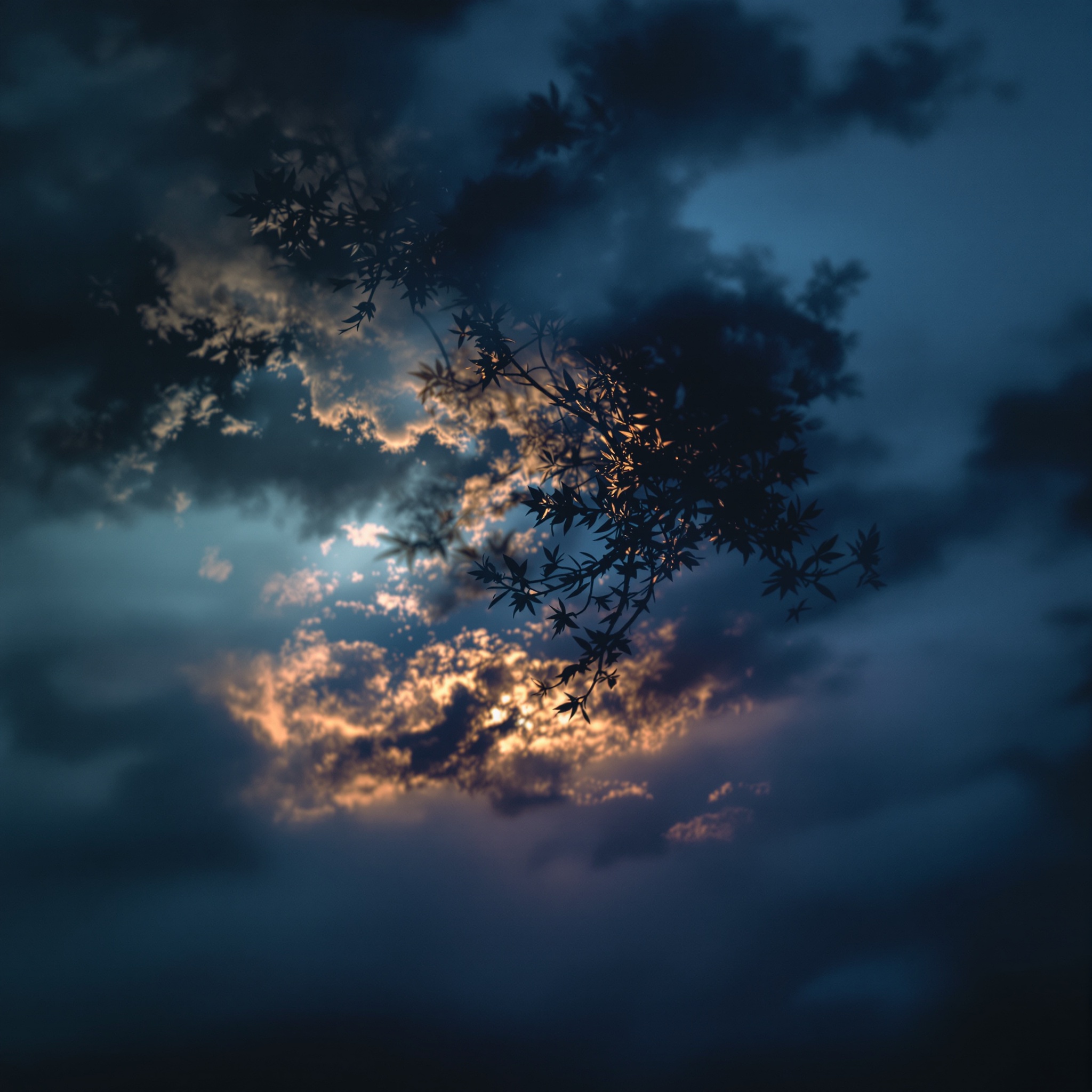 One Language cover art