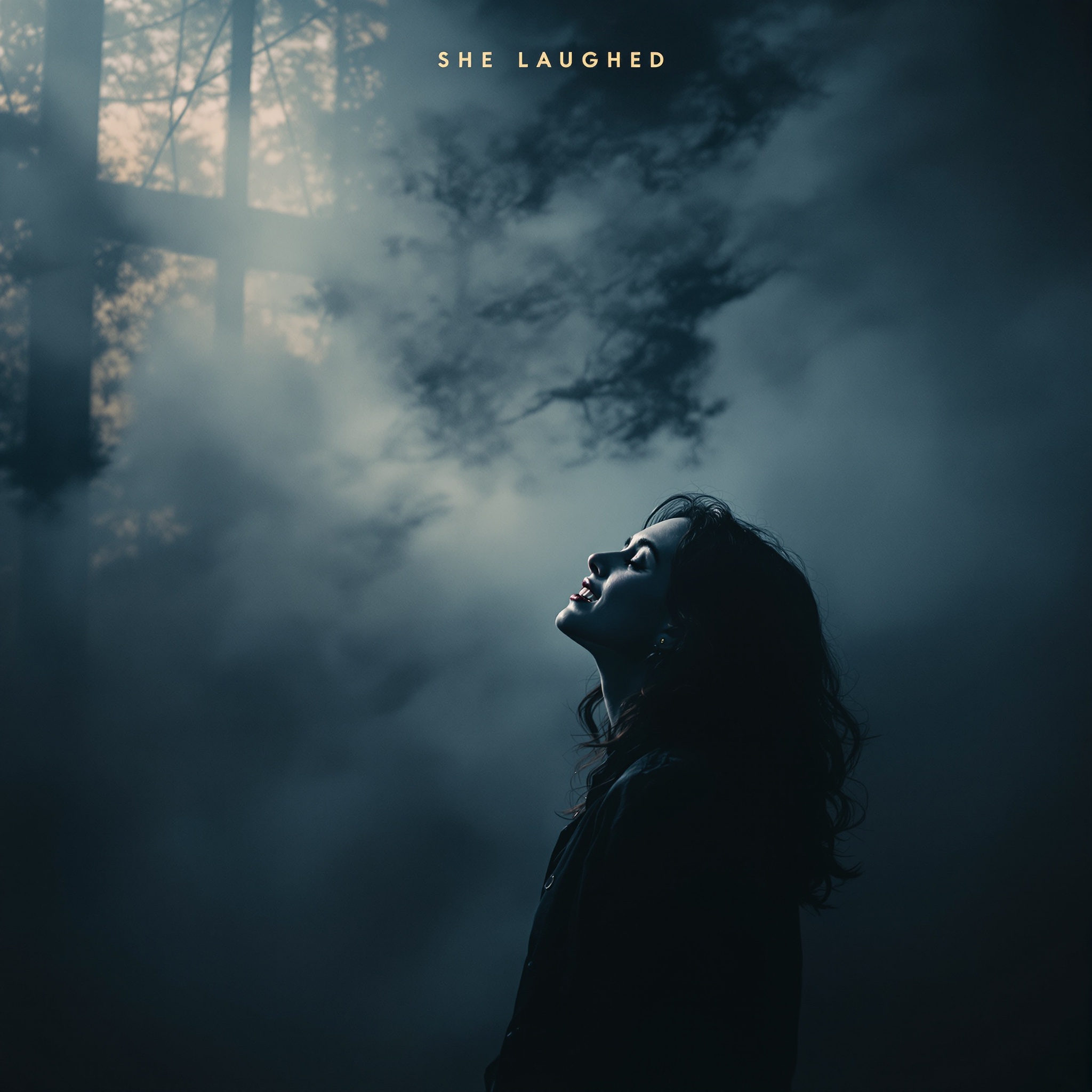 She Laughed cover art