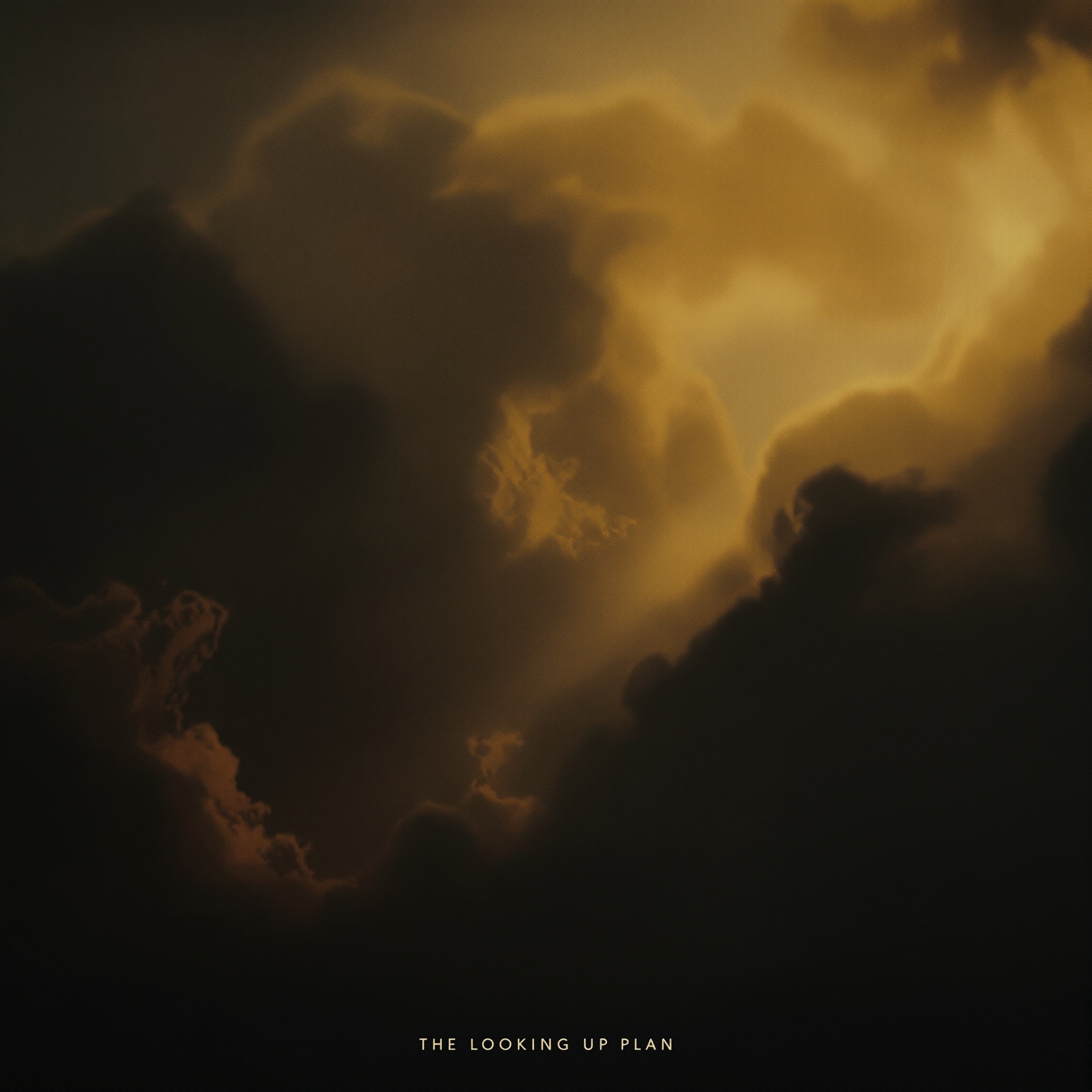 The Looking-Up Plan cover art