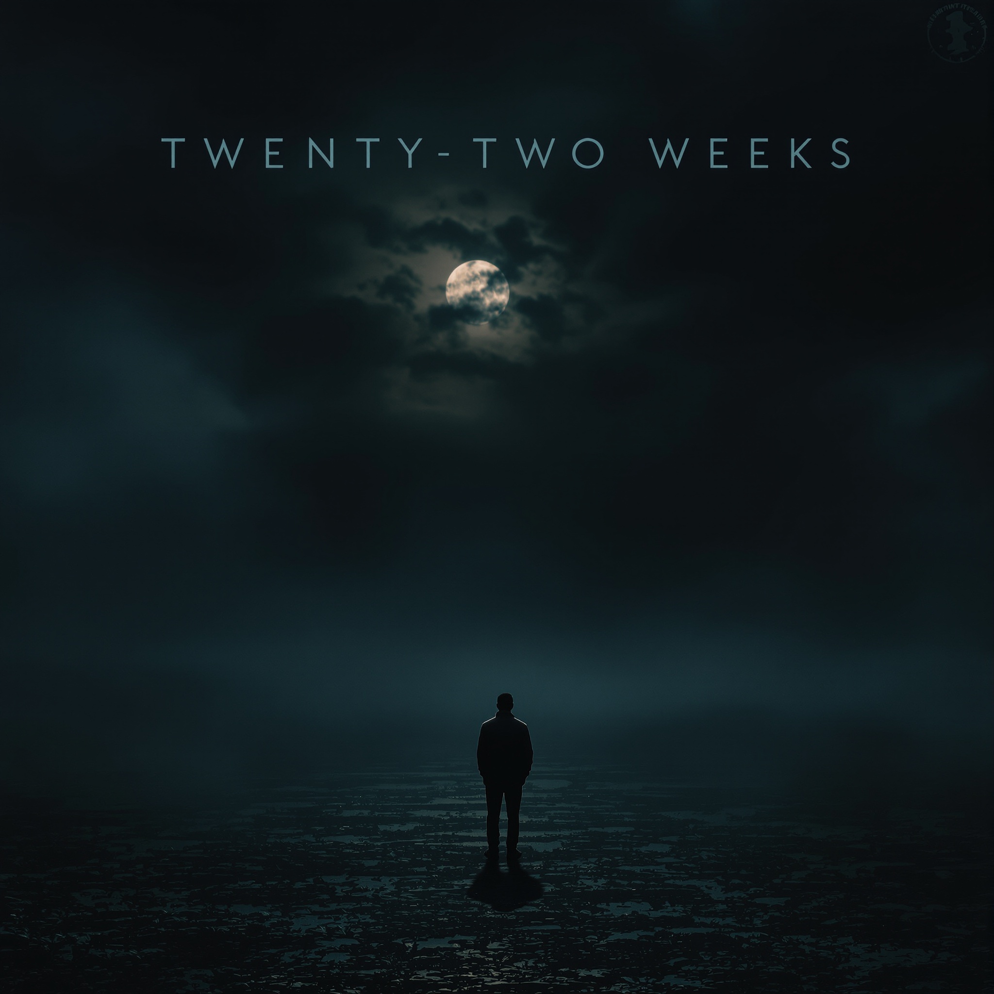 Twenty-Two Weeks cover art